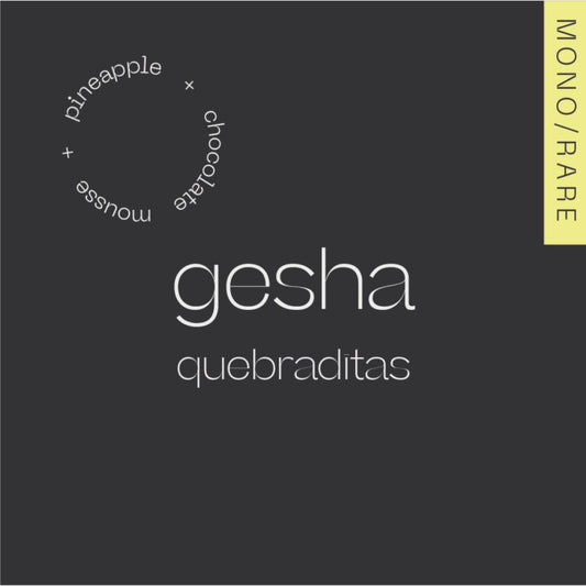 La Quebraditas - Natural - Gesha - Colombia