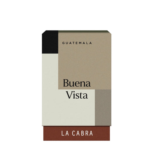 Buena Vista - Natural - Heirloom - Guatemala