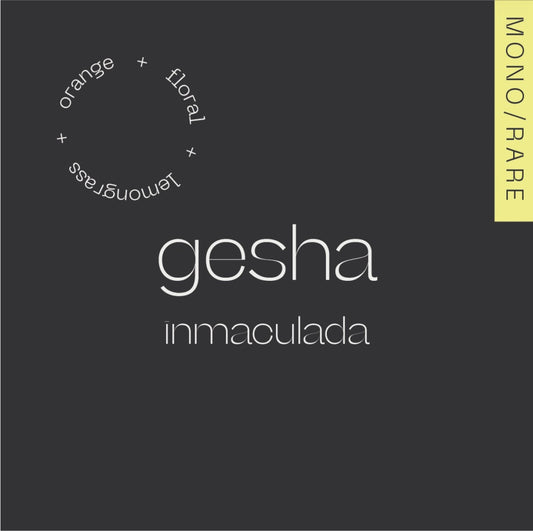 Gesha Inmaculada - Natural - Gesha - Colombia