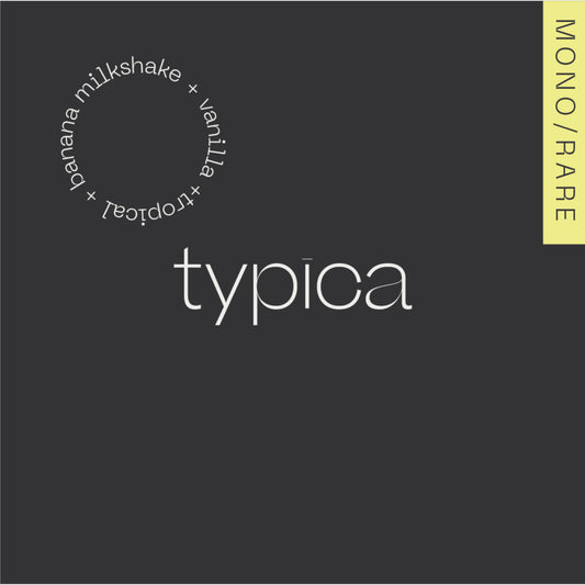 Los Nogales - Washed - Typica - Colombia